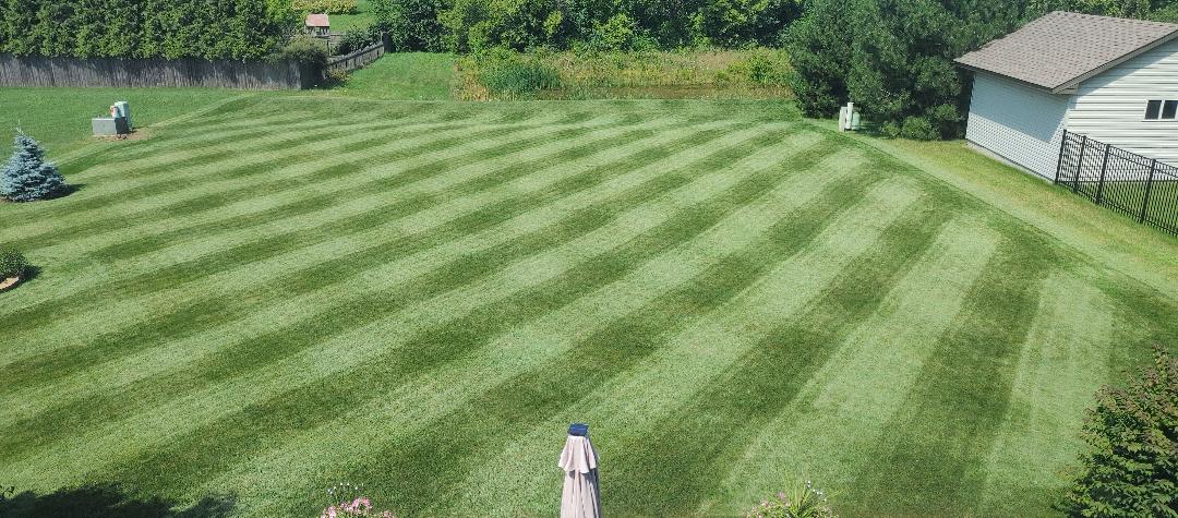 Grass
